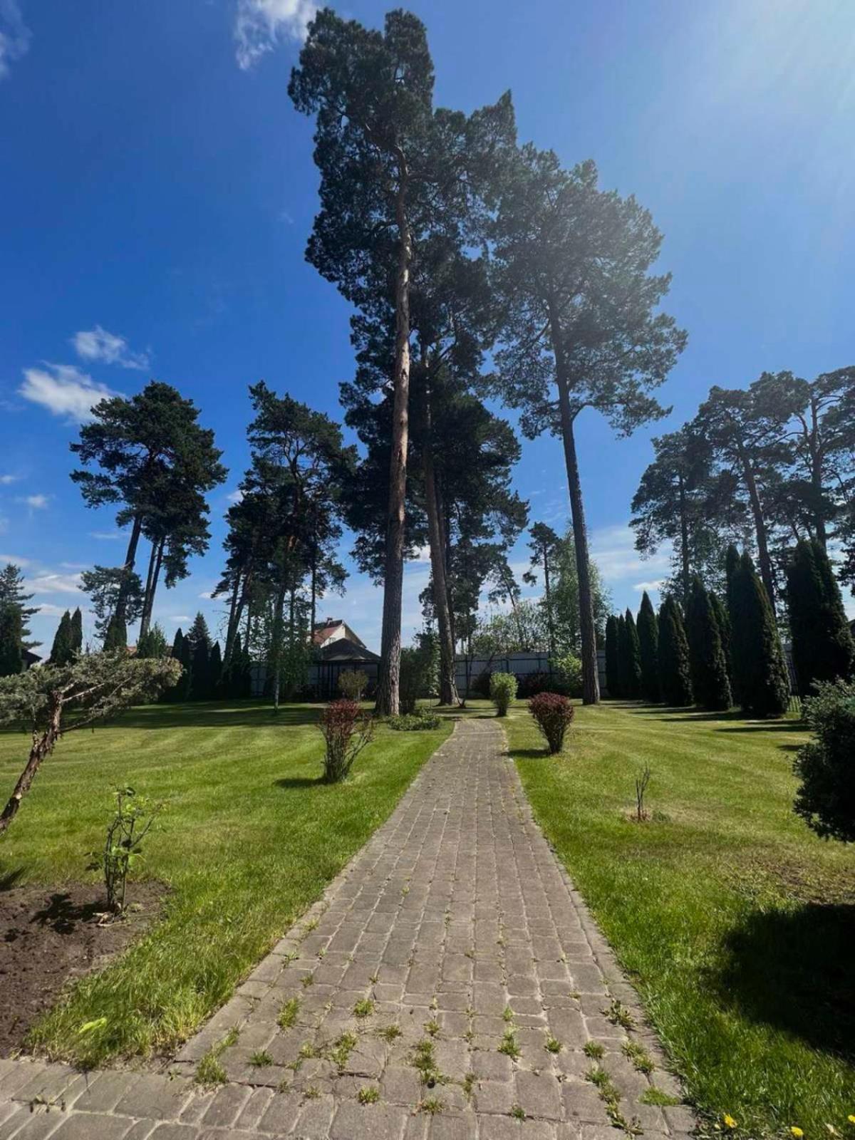 Borovik Hotel Novosilki Екстериор снимка