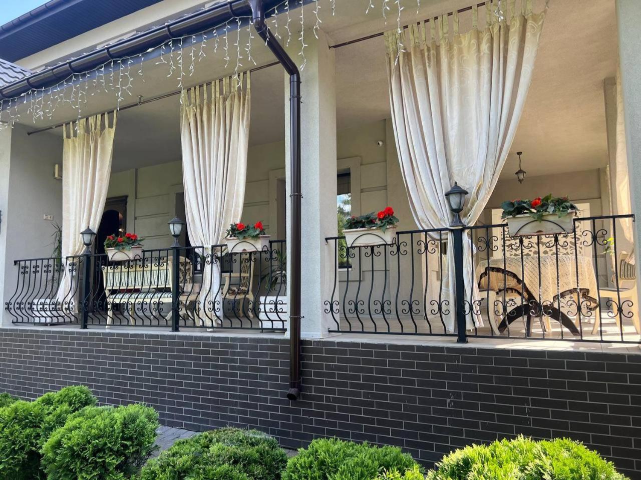 Borovik Hotel Novosilki Екстериор снимка
